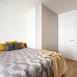 Rent 4 bedroom apartment of 118 m² in Brno