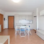 Rent 1 bedroom apartment of 68 m² in milano