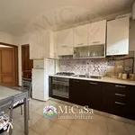 Rent 2 bedroom apartment of 65 m² in pisa