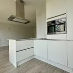 Rent 1 bedroom apartment in Antwerpen