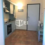 Rent 1 bedroom apartment of 60 m² in Pisa