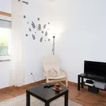 Rent 1 bedroom apartment of 55 m² in lisbon