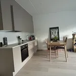 Rent 2 bedroom apartment of 57 m² in Oslo