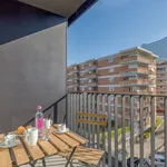 Rent 1 bedroom apartment of 35 m² in Paradiso