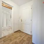 Rent 1 bedroom apartment in Prague