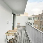 Rent 2 bedroom apartment of 775 m² in Vienna