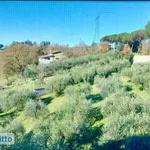 Affitto 2 camera appartamento di 180 m² in Rome