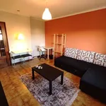 Rent 1 bedroom apartment in porto