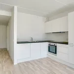 Rent 2 bedroom apartment of 67 m² in Ølstykke