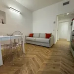 Rent 1 bedroom apartment of 45 m² in milano