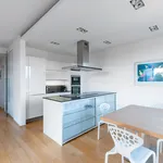 Rent 3 bedroom apartment of 171 m² in Prague