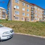 Pronajměte si 2 ložnic/e byt o rozloze 33 m² v Meziboří