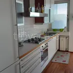 Rent 1 bedroom apartment of 70 m² in Venice