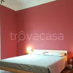 Rent 3 bedroom apartment of 75 m² in Torino