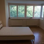 Rent 3 bedroom apartment in Brno