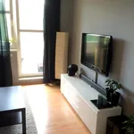 Rent 1 bedroom apartment in Praha - západ