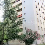 Rent 1 bedroom apartment of 50 m² in Corsico