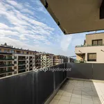 Rent 3 bedroom apartment in Budapest