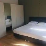 Huur 1 slaapkamer appartement in Blankenberge