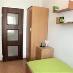 Rent a room in Katowice