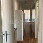 Rent 3 bedroom apartment of 75 m² in Venezia