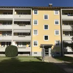 Rent 4 bedroom apartment of 73 m² in Dietikon