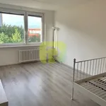 Pronajměte si 1 ložnic/e byt o rozloze 33 m² v Praha