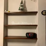 Rent 1 bedroom apartment of 30 m² in Turin