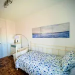 Alquilar 5 dormitorio apartamento en Madrid