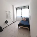 Rent 9 bedroom apartment in Trento