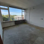 Huur 2 slaapkamer appartement van 60 m² in Emmen