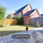 Rent 4 bedroom house in Basingstoke and Deane