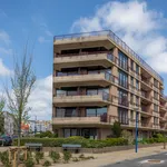 Rent 1 bedroom apartment in Koksijde