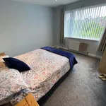 Rent 3 bedroom house in Belfast