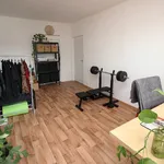 Rent 2 bedroom apartment of 56 m² in Prague