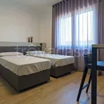 Rent 1 bedroom apartment of 30 m² in Treviso