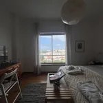 Rent a room of 120 m² in Ponta Delgada