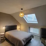  maison avec 9 chambre(s) en location à Bruxelles