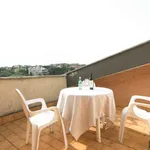 Rent 1 bedroom apartment of 55 m² in rome