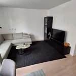 Rent 2 bedroom apartment of 55 m² in 's-Hertogenbosch