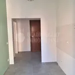 Rent 2 bedroom apartment of 65 m² in Roma