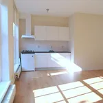 Rent 2 bedroom apartment of 55 m² in Delft