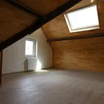 Rent 4 bedroom house of 610 m² in Court-Saint-Etienne