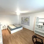 Rent 2 bedroom apartment of 53 m² in Vienna