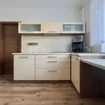 Rent 2 bedroom apartment in Brno