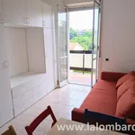 Rent 1 bedroom apartment of 30 m² in Monza