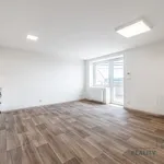 Pronájem bytu 1+kk 35m²