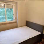 Rent a room in lisbon