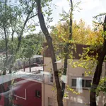 Rent a room of 74 m² in madrid