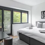 Rent 1 bedroom apartment in Berlin